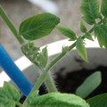 34005_20181001143832_01.JPG