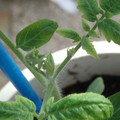 34005_20181001143837_01.JPG