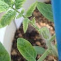 34005_20181001143900_01.JPG