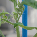 34005_20181001143910_01.JPG