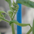 34005_20181001143911_01.JPG
