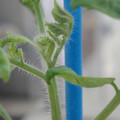 34005_20181001143912_01.JPG
