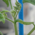 34005_20181001143913_01.JPG