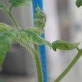 34005_20181001143921_01.JPG