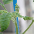 34005_20181001143924_01.JPG
