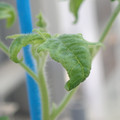 34005_20181001143931_01.JPG