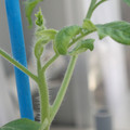 34005_20181001143939_01.JPG