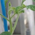 34005_20181001143940_01.JPG