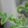 34005_20181001144027_01.JPG