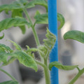 34005_20181001144039_01.JPG