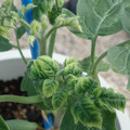 34005_20181009154413_01.JPG