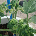 34005_20181009154414_01.JPG
