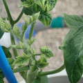 34005_20181009154501_01.JPG