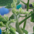 34005_20181009154513_01.JPG