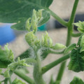 34005_20181009154514_01.JPG