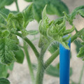 34005_20181009154800_01.JPG