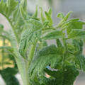 34005_20181009155131_01.JPG
