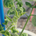 34005_20181009155313_01.JPG