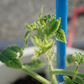 34005_20181009155340_01.JPG