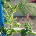 34005_20181009155408_01.JPG