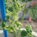 34005_20181009155411_01.JPG