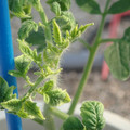 34005_20181009155412_01.JPG