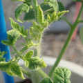 34005_20181009155414_01.JPG