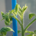 34005_20181009155444_01.JPG