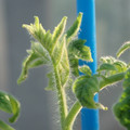 34005_20181009155500_01.JPG