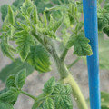 34005_20181009155610_01.JPG