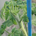 34005_20181009155612_01.JPG