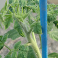 34005_20181009155613_01.JPG