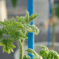 34005_20181009155710_01.JPG