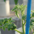 34005_20181009155732_01.JPG