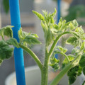 34005_20181009155800_01.JPG
