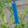 34005_20181009155900_01.JPG