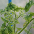 34005_20181009160109_01.JPG