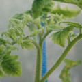 34005_20181009160114_01.JPG
