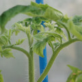 34005_20181009160118_01.JPG