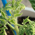 34005_20181009160211_01.JPG