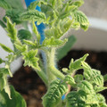 34005_20181009160213_01.JPG