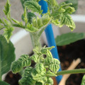 34005_20181009160216_01.JPG