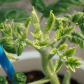 34005_20181009160300_01.JPG