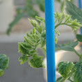34005_20181009160413_01.JPG