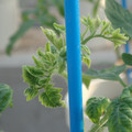 34005_20181009160413_02.JPG