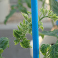 34005_20181009160414_01.JPG