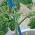 34005_20181009160529_01.JPG
