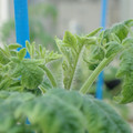34005_20181009160715_01.JPG