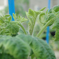34005_20181009160716_01.JPG