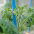 34005_20181009160722_01.JPG